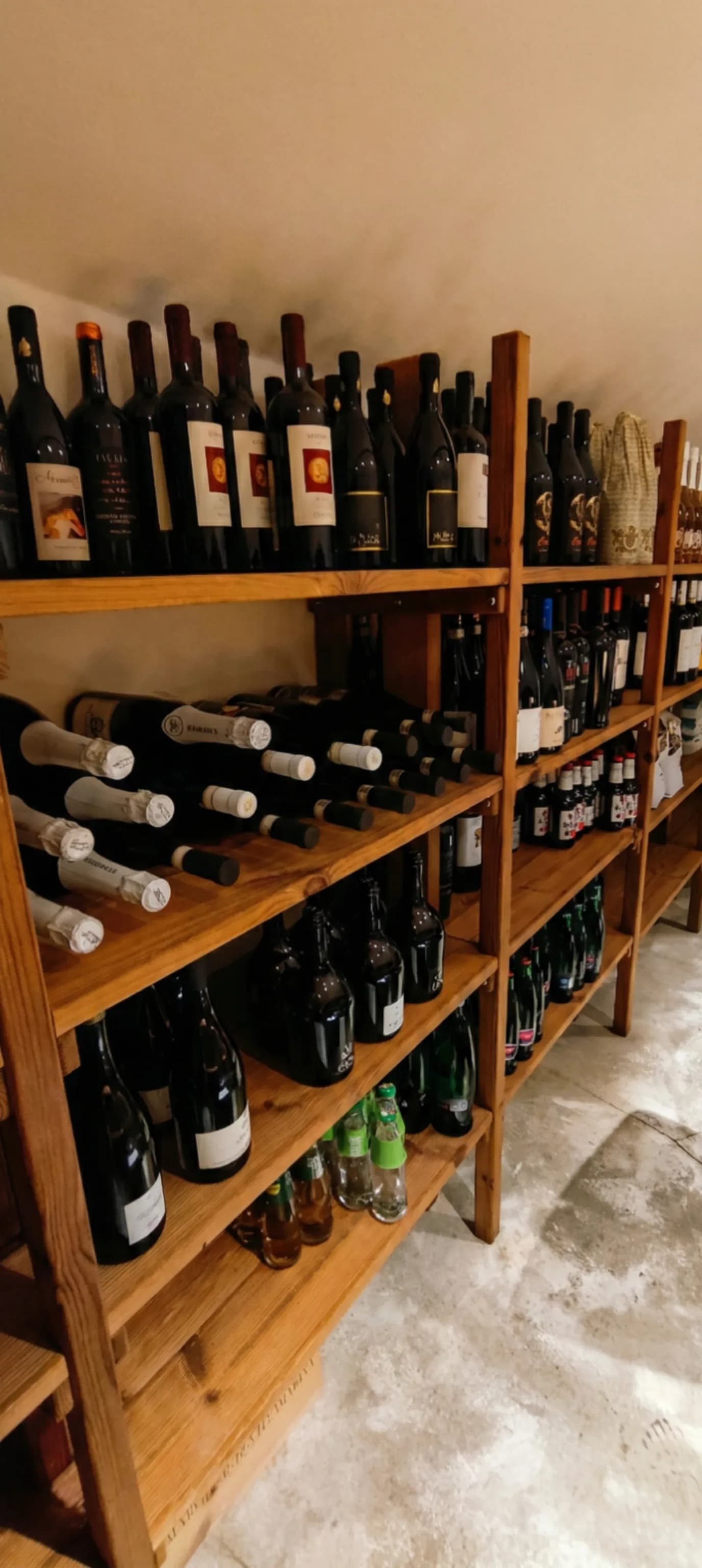 Vino 3